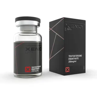 main_thumb-181.webp Xeno Labs Testosterone Enanthate - 250mg/10ml